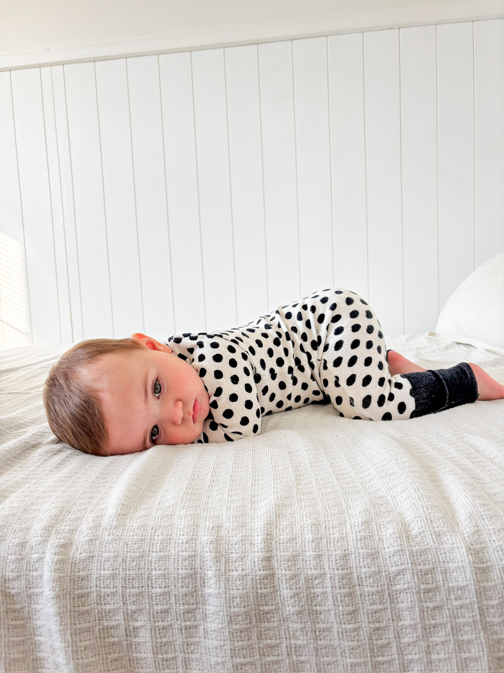 POLKA DOTS • baby pointelle zipper pajama (one-piece)