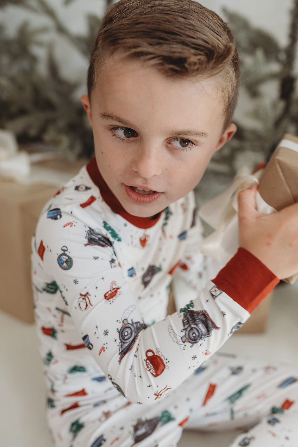 CHRISTMAS TRAIN • sherpa blanket